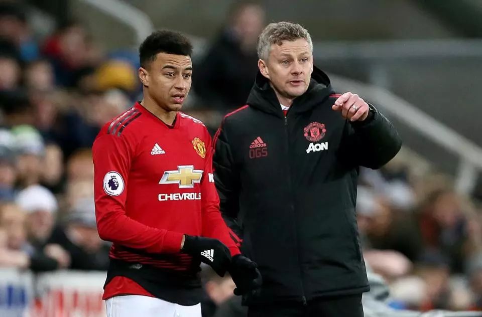 为了在众多 为了在众多